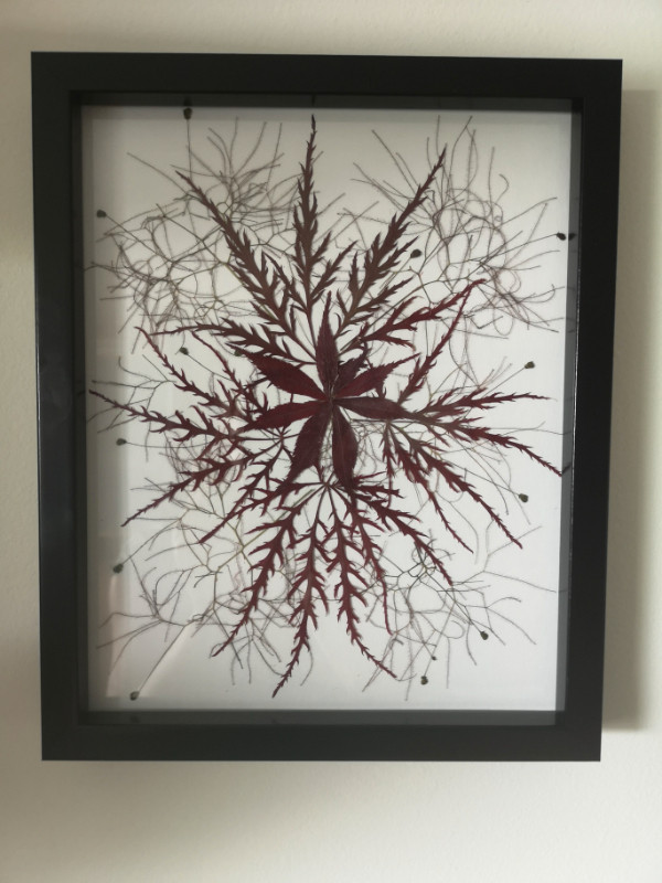 Artwork Japanese red maple dry leaves in Home Décor & Accents in Markham / York Region