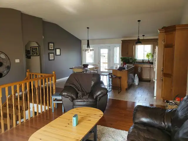 professional Painter 65585440938625123