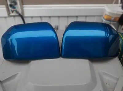 Brand new in a box. Dark blue mirror covers. $80 Im located on hwy 59 just before Birds hill park.