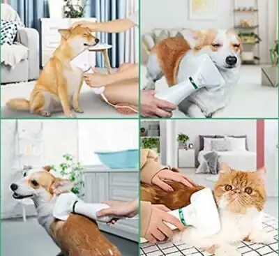 Petrip Pet Cat Dog Hair Dryer 2 in1 Portable Groom Slicker Brush, View more