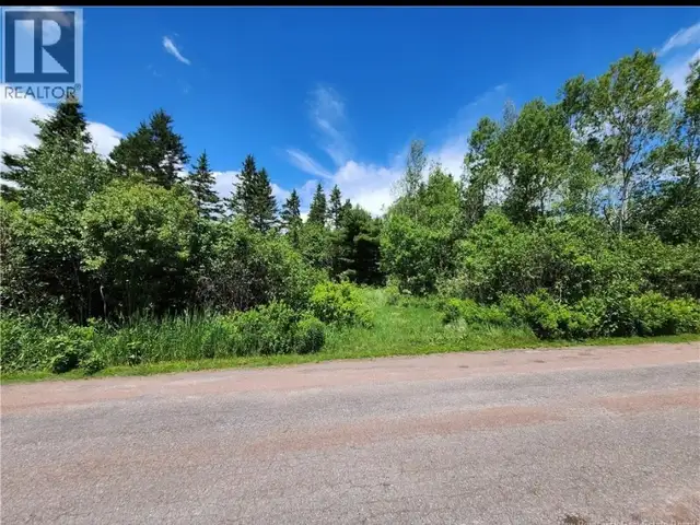 REDUCED-6 ACRES PRIVATE LAND, QUIET RURAL STREET