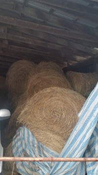 Straw and Hay For Sale