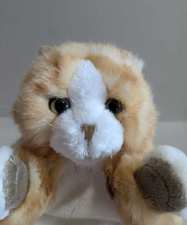 Folkmanis orange tabby kitten cat hand puppet in Toys & Games in Charlottetown - Image 11
