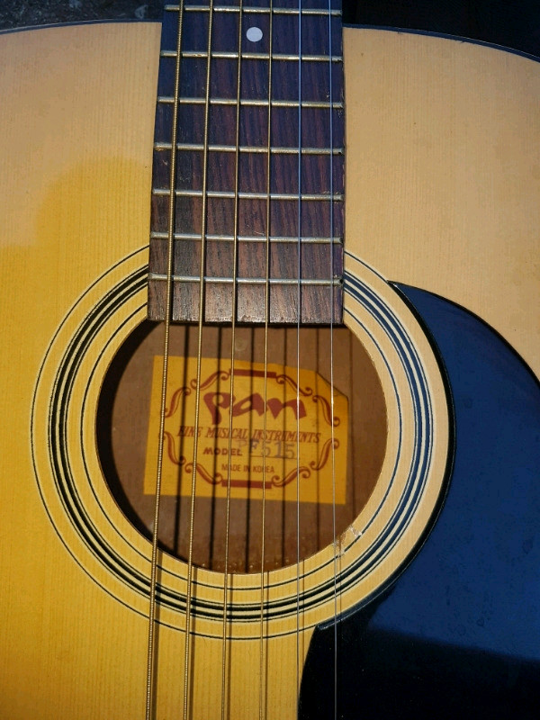 Pan acoustic sale guitar