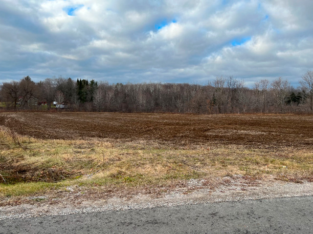 Terre agricole biologique à vendre dans Terrains à vendre  à Lanaudière - Image 3