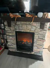 Solid Stone Electric Fireplace.