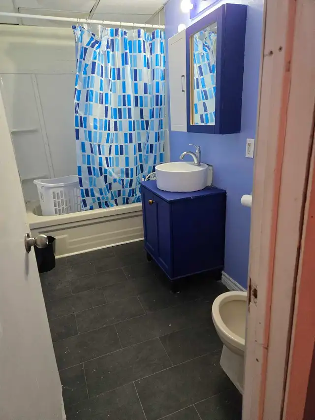 1 bedroom apartment. in Short Term Rentals in Corner Brook - Image 8