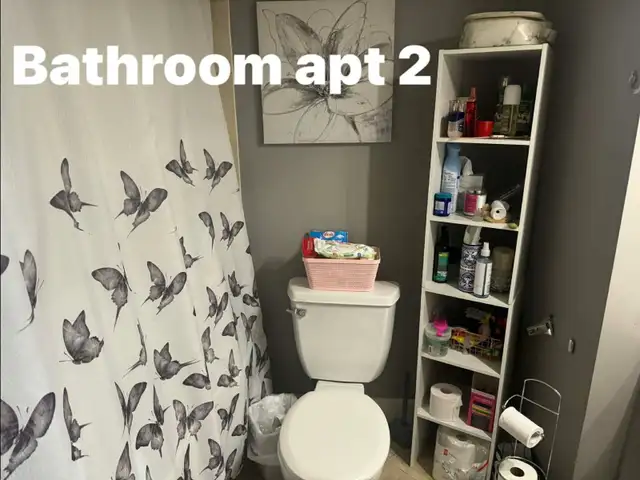 One bed- One bath basement apartment  in Long Term Rentals in City of Toronto - Image 3