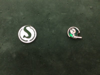 CFL football Saskatchewan Roughriders lapel pins