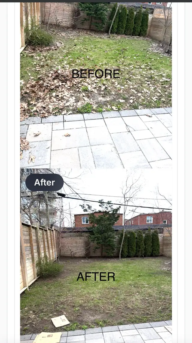 Leaf Raking, Weed removal,  Tree Cut,Mulch, & Tree cut services in Lawn, Tree Maintenance & Eavestrough in City of Toronto - Image 8