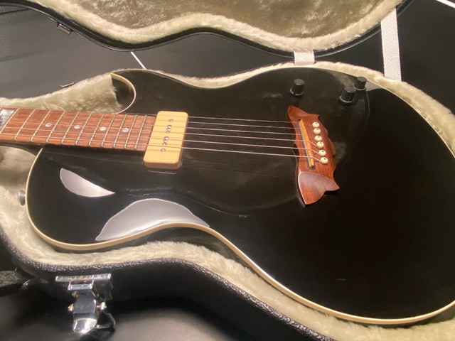 Custom shop Pink Floyd Roger Waters Rw300 guitar in Guitars in Edmonton
