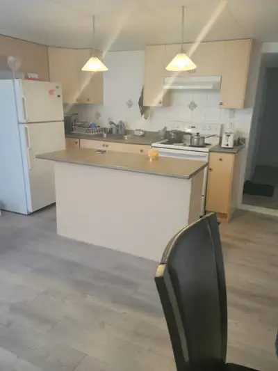 Rent $1700 a month . 2 bedroom basement suite, ground level walk in ,in a quiet cul-de-sac, walking...