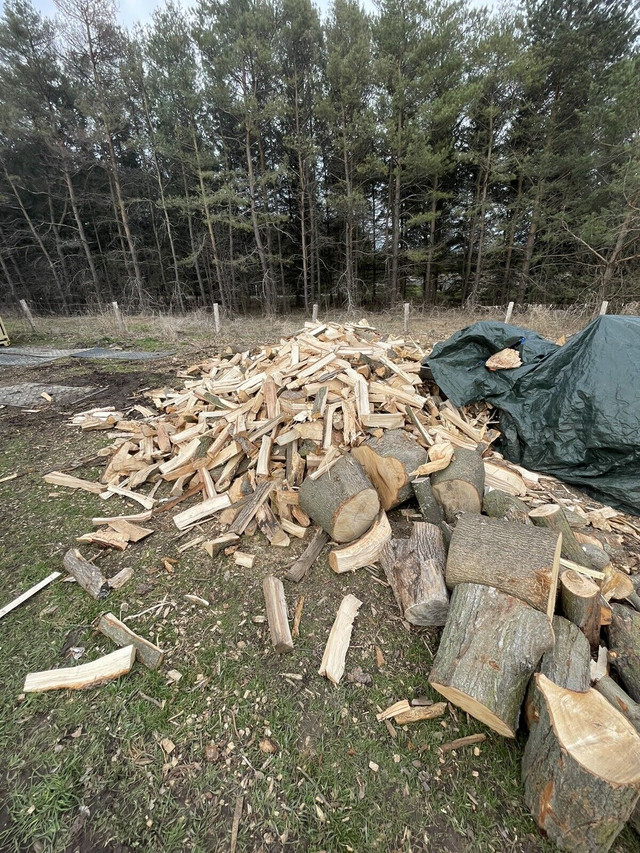Firewood Dry Seasoned in Fireplace & Firewood in Markham / York Region