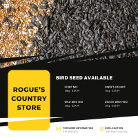 Bird seed available