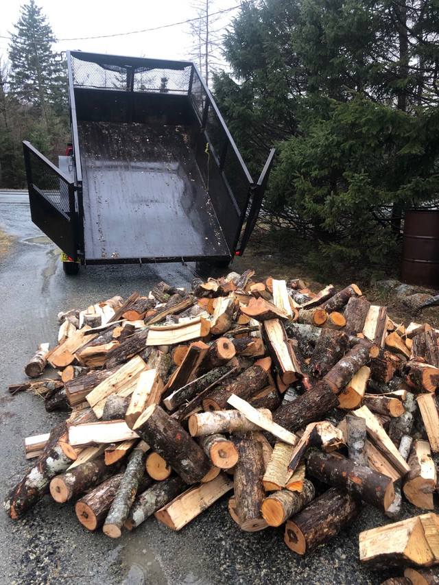 Hardwood for next winter, softwood for burning now in Fireplace & Firewood in Bridgewater - Image 3