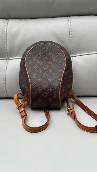 Sac Louis Vuitton, View more