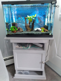 20 gallon aquarium with stand, lid and light.