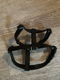 Small Adjustable Dog Harness