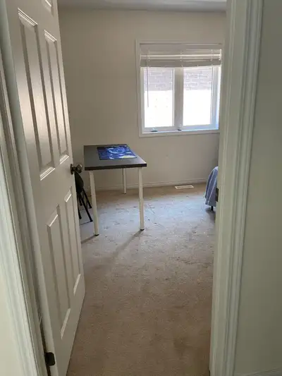 looking for roommates