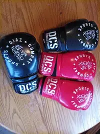 DCS Logo Red and Black Boxing Gloves