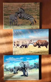 6 Table Mats - 8 1/2" x 5 3/4" - African Animal Themed