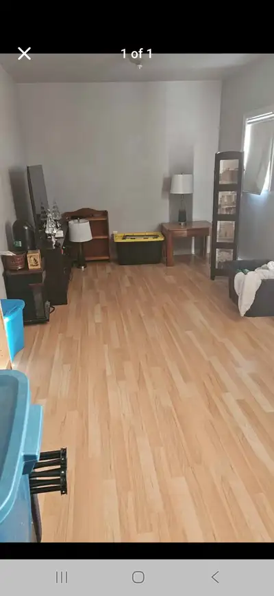 Hello. Times are tough. Looking for a roommate to rent the living room in a 1 bdrm house, with share...