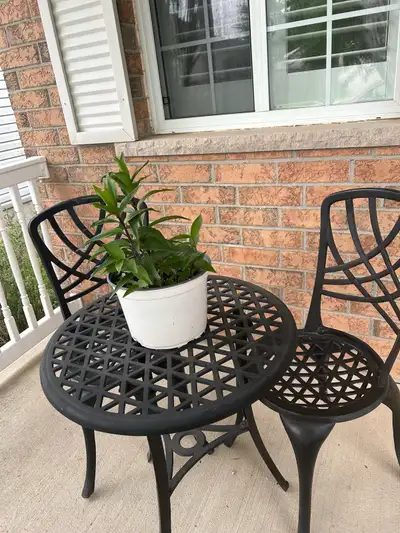 patio furniture , View more
