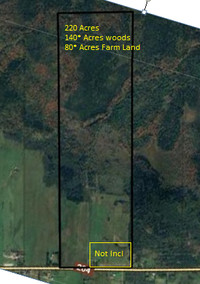 220 Acre Property in Rural Cumberland Co