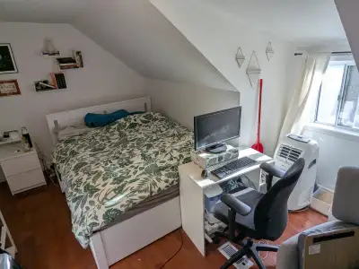 CHRISTIE PITS -- We are two folks in their 30s/40s searching for a woman or non-binary roommate in t...