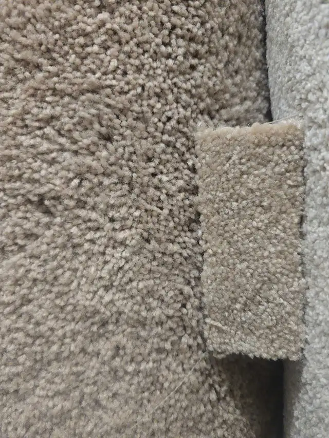 full house renovation65561297824130124