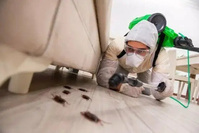 Pest Control,Exterminator,Bed Bugs,Roaches 647--370--9822 in Other in Mississauga / Peel Region - Image 2