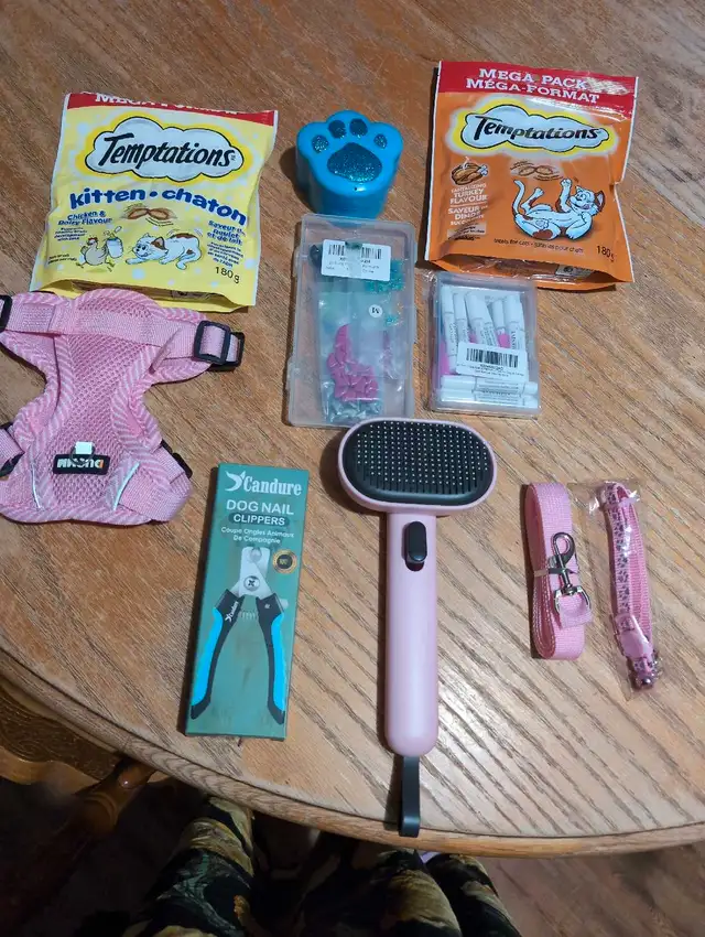 Beaucoup d'accessoires pour chat a vendre in Cats & Kittens for Rehoming in Trois-Rivières - Image 5