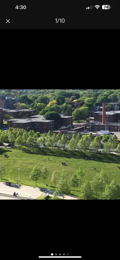 170 Sumach Street  Stunning View