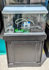 20 gallon fish tank complete setup