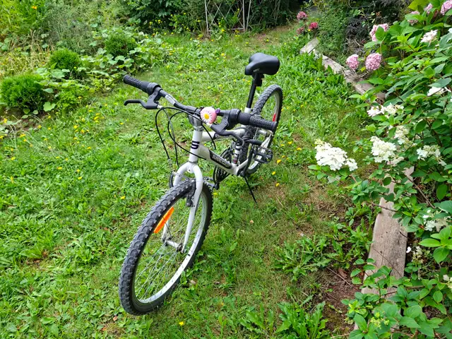 Bicycle 21" wheels, great condition536637266818519042