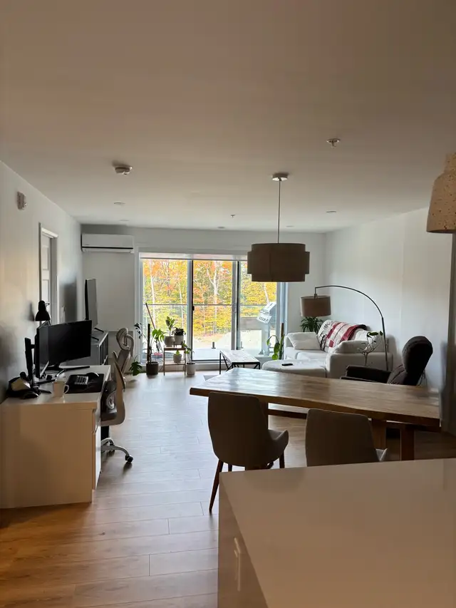 Lease Termination (3 1/2 *** NOVEMBER RENT PAID)