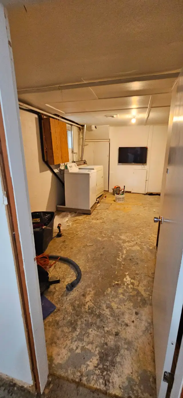 BASEMENT RENOVATION586009570181785606