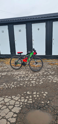 Bicyclette velo bicycle a gaz 80cc