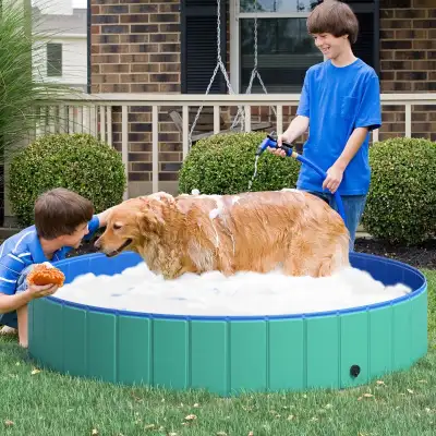 63" Folding Dog Pool for Large dogs, Portable Pet Kiddie Swimmin, View more