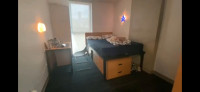 1 Bed Room Sublet in Downtown Toronto at Campus One (Female)