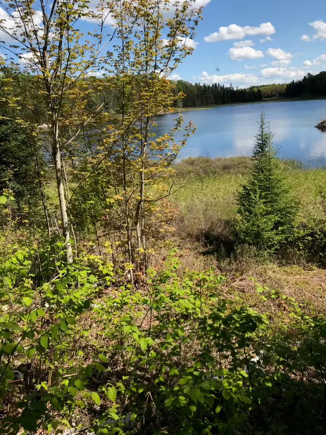 100 acres in Magnetawan on small lake