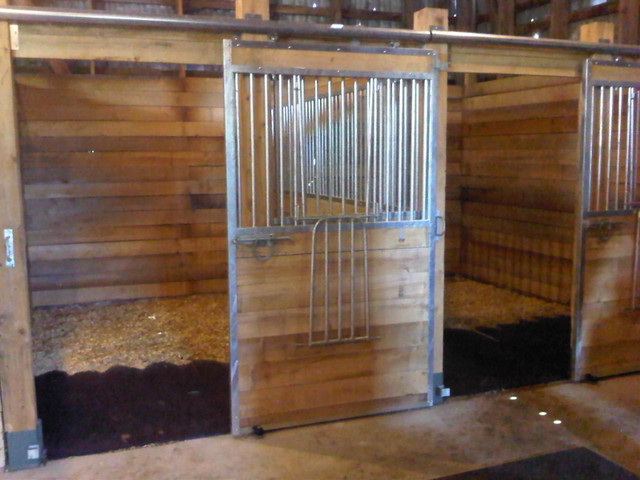 Indoor and Outdoor Horse Board Available 5 min from Belleville in Equestrian & Livestock Accessories in Belleville
