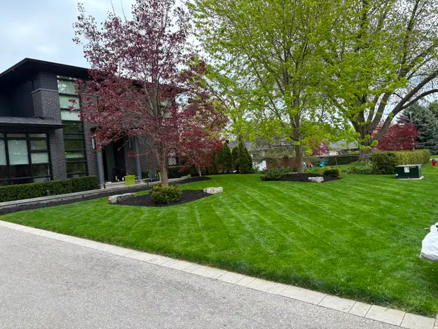 45$ Grass Cut + Lawn Care and Landscaping Options