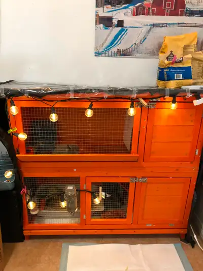 Indoor rabbit hutch, View more
