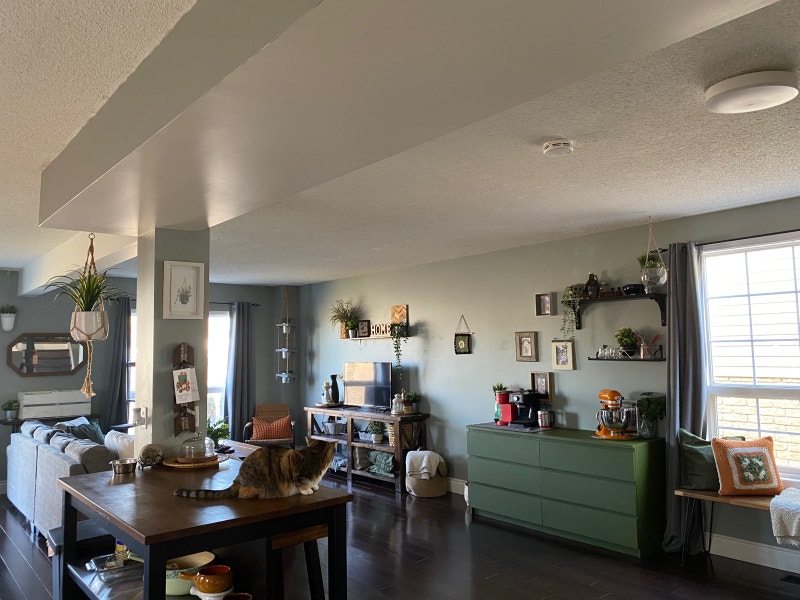 Room for Rent in shared house South End Guelph Room Rentals