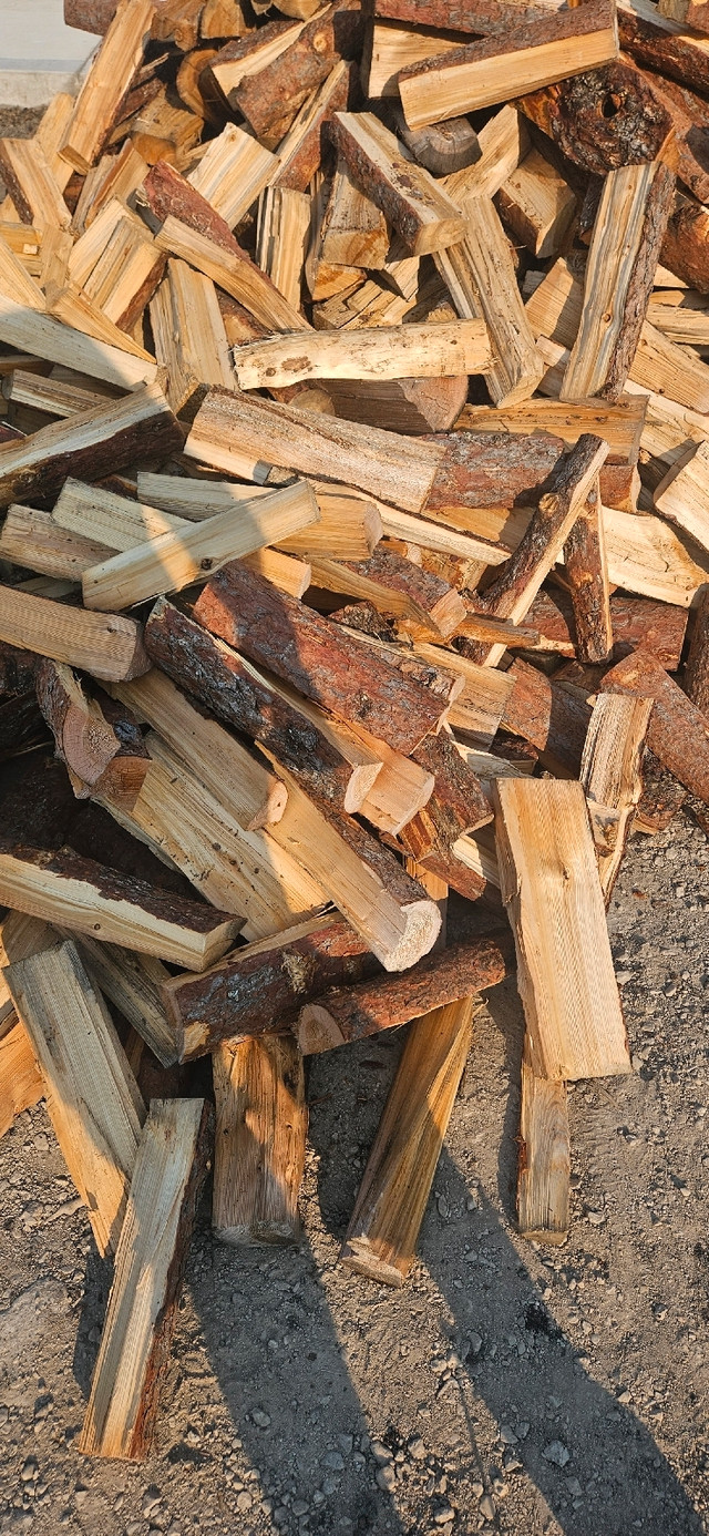 Firewood for sale Tamarack  in Fireplace & Firewood in Winnipeg