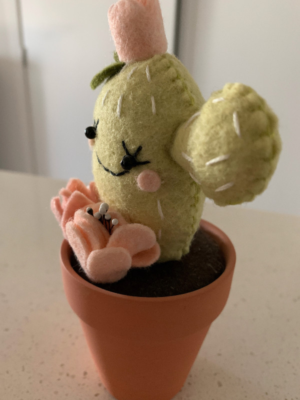 Cactus en feutre décoratif dans un mini pot en terre cuite dans Décoration intérieure et accessoires  à Laval/Rive Nord - Image 3