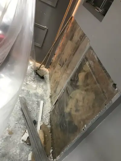 Pro Mold Removal, Floods,  Water Leak Damage, Drywall Repairs, View more