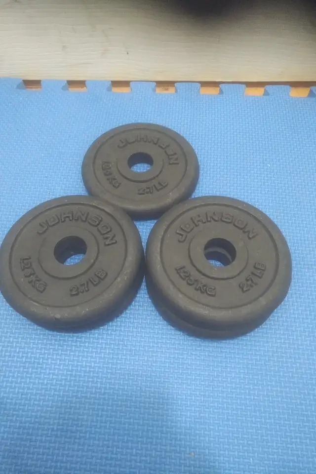 weight plates ($1.35/lbs) in Exercise Equipment in Delta/Surrey/Langley - Image 7