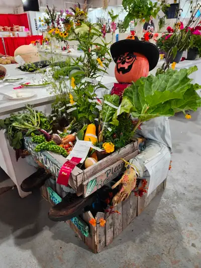COMMUNITY GARDENS AVAILABLE $5, View more